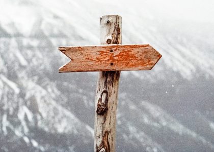 pexels-jens-johnsson-66100