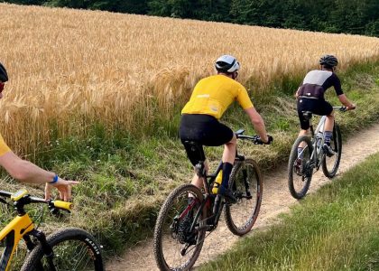 pexels-philippe-weickmann-17487178